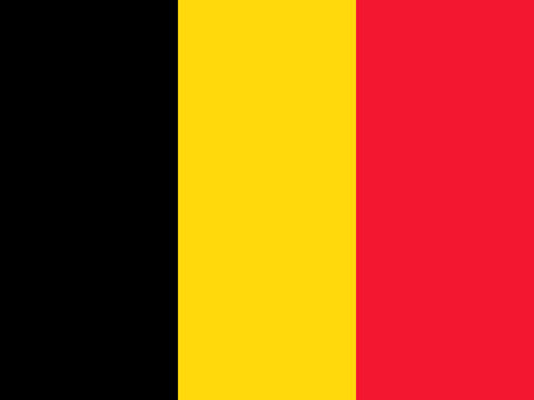 Process Server Belgium