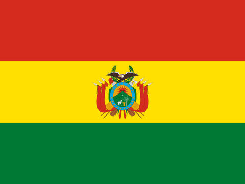 Process Server Bolivia