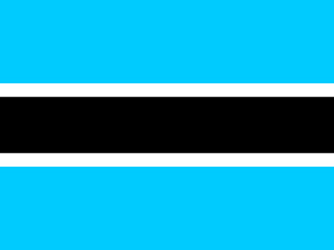 Process Server Botswana