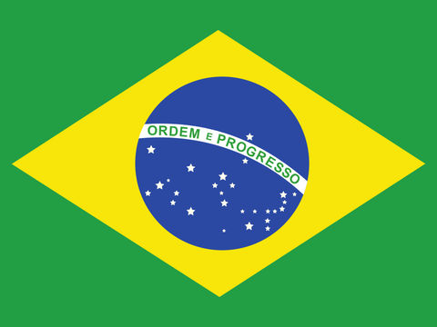 Process Server Brazil