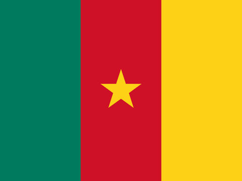 Process Server Cameroon