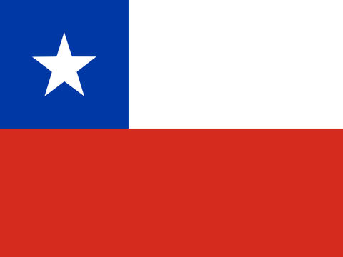 Process Server Chile