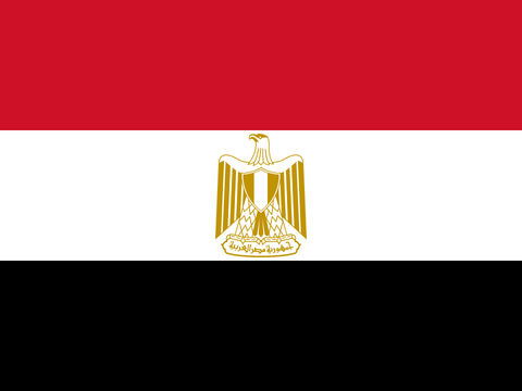 Process Server Egypt