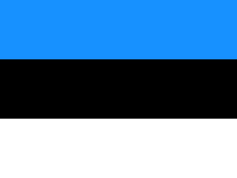 Process Server Estonia