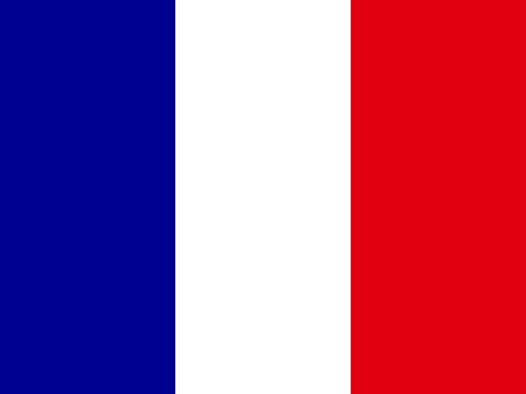 Process Server France