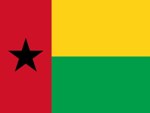 Process Server Guinea-Bissau