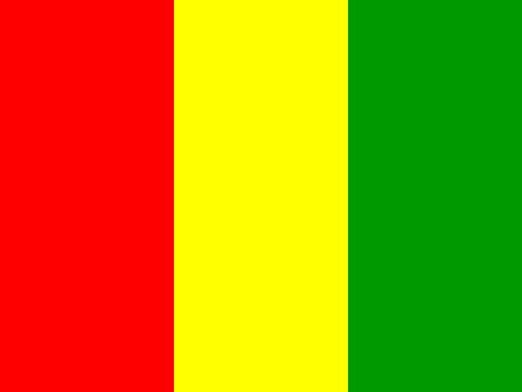 Process Server Guinea