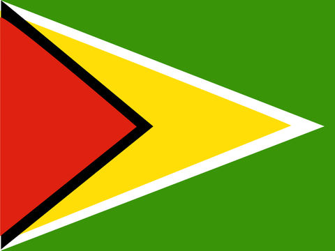 Process Server Guyana