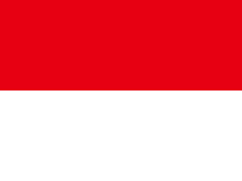 Process Server Indonesia