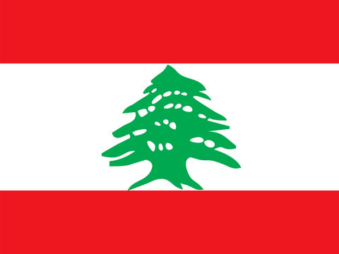 Process Server Lebanon