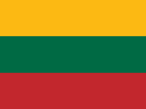 Process Server Lithuania