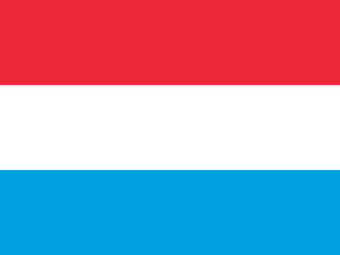 Process Server Luxembourg