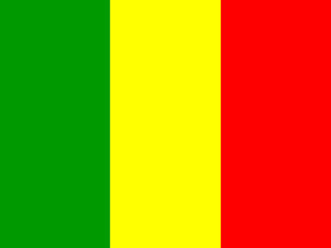 Process Server Mali
