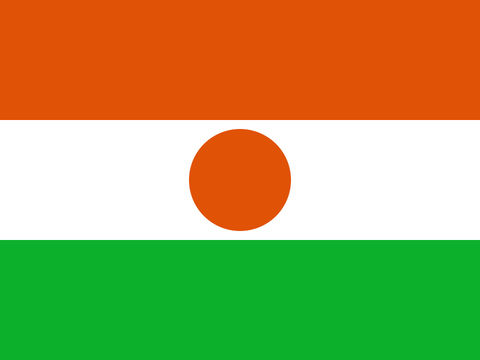 Process Server Niger