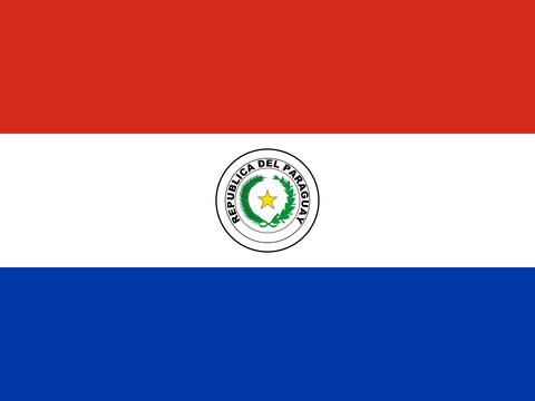 Process Server Paraguay