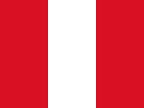 Process Server Peru