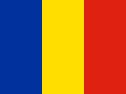 Process Server Romania