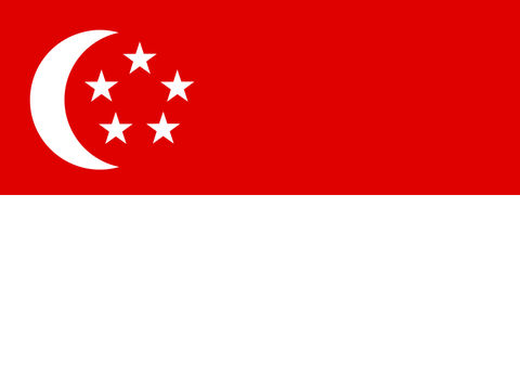 Process Server Singapore