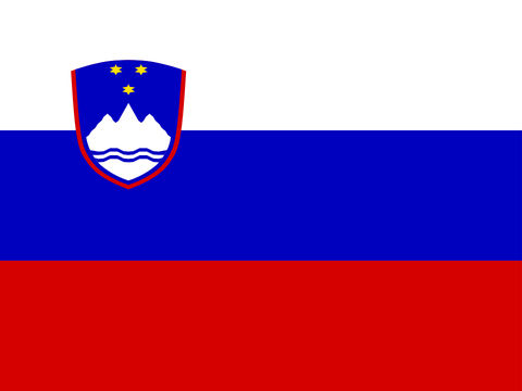 Process Server Slovenia