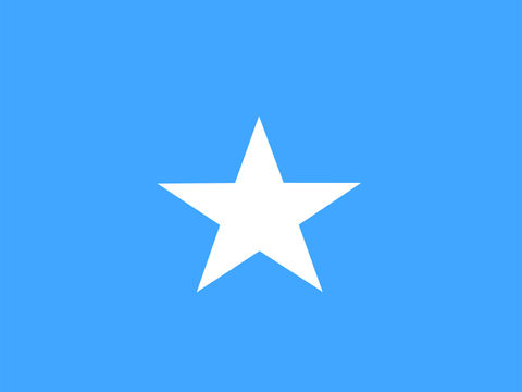 Process Server Somalia