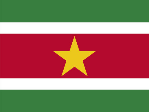 Process Server Suriname