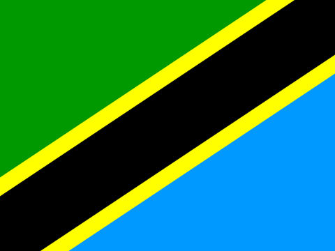 Process Server Tanzania