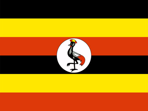 Process Server Uganda