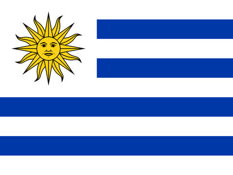Process Server Uruguay