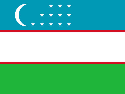 Process Server Uzbekistan