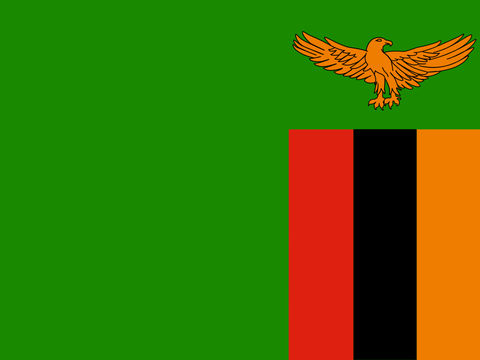 Process Server Zambia